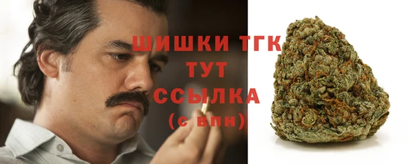 хмурый Усмань