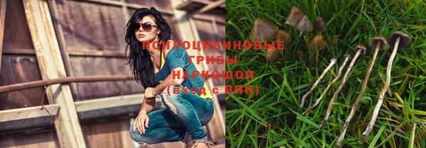 амф Усинск