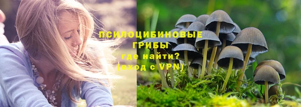 амф Усинск