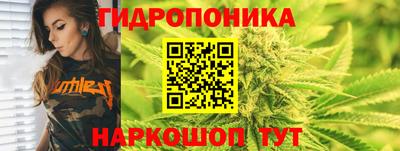 гашик Донецк