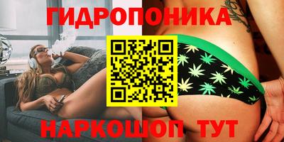 марки lsd Бийск