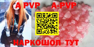 стафф Дубна