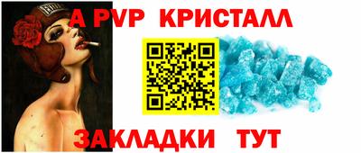 стафф Дубна