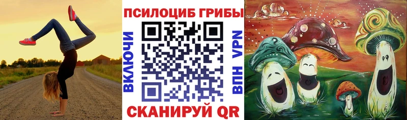 Псилоцибиновые грибы прущие грибы  как найти закладки  Кемерово 