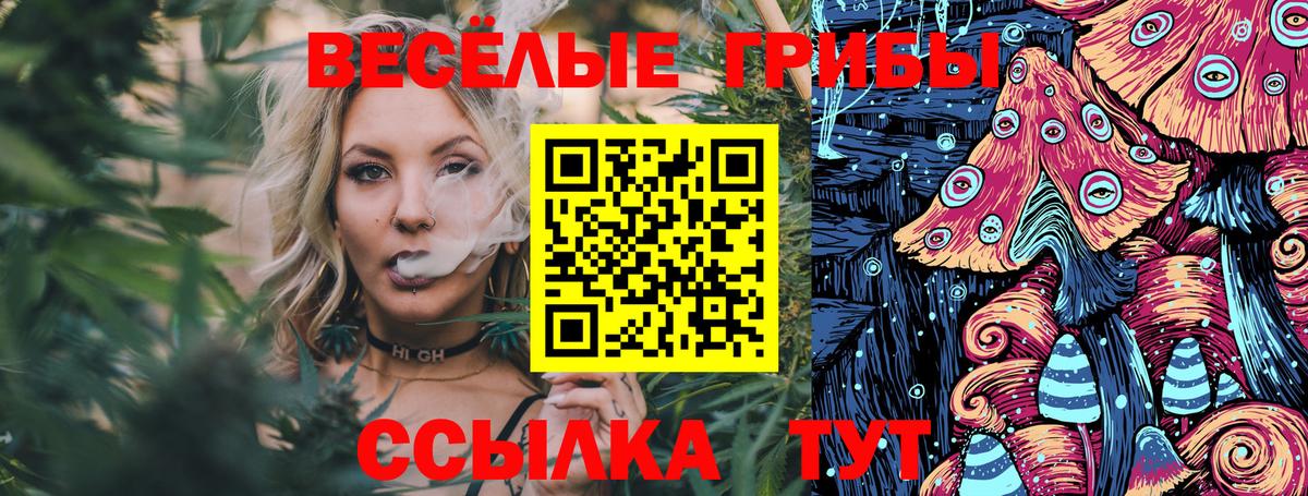 Псилоцибиновые грибы мицелий Кемерово