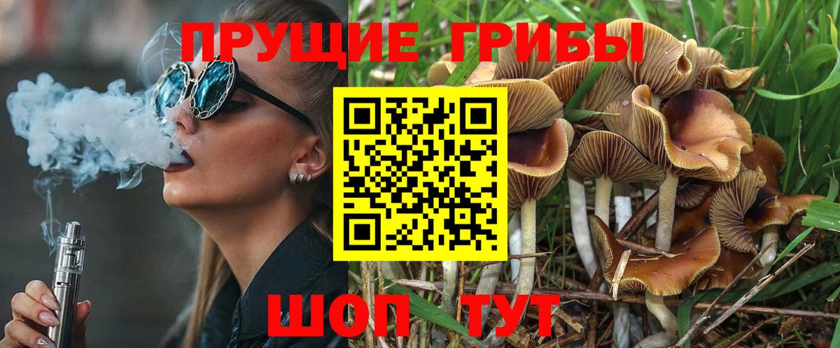 Галлюциногенные грибы прущие грибы Кемерово