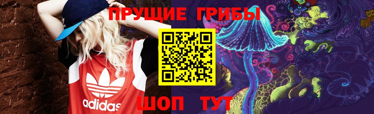 Псилоцибиновые грибы Psilocybe  Вход с VPN  Кемерово 