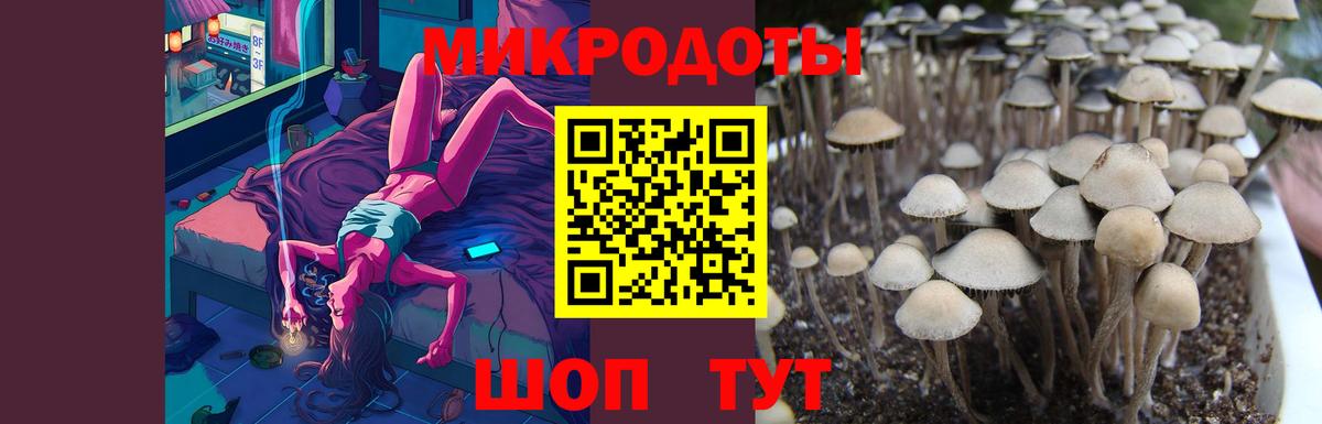 Галлюциногенные грибы ЛСД  Кемерово  Псилоцибиновые грибы Cubensis 